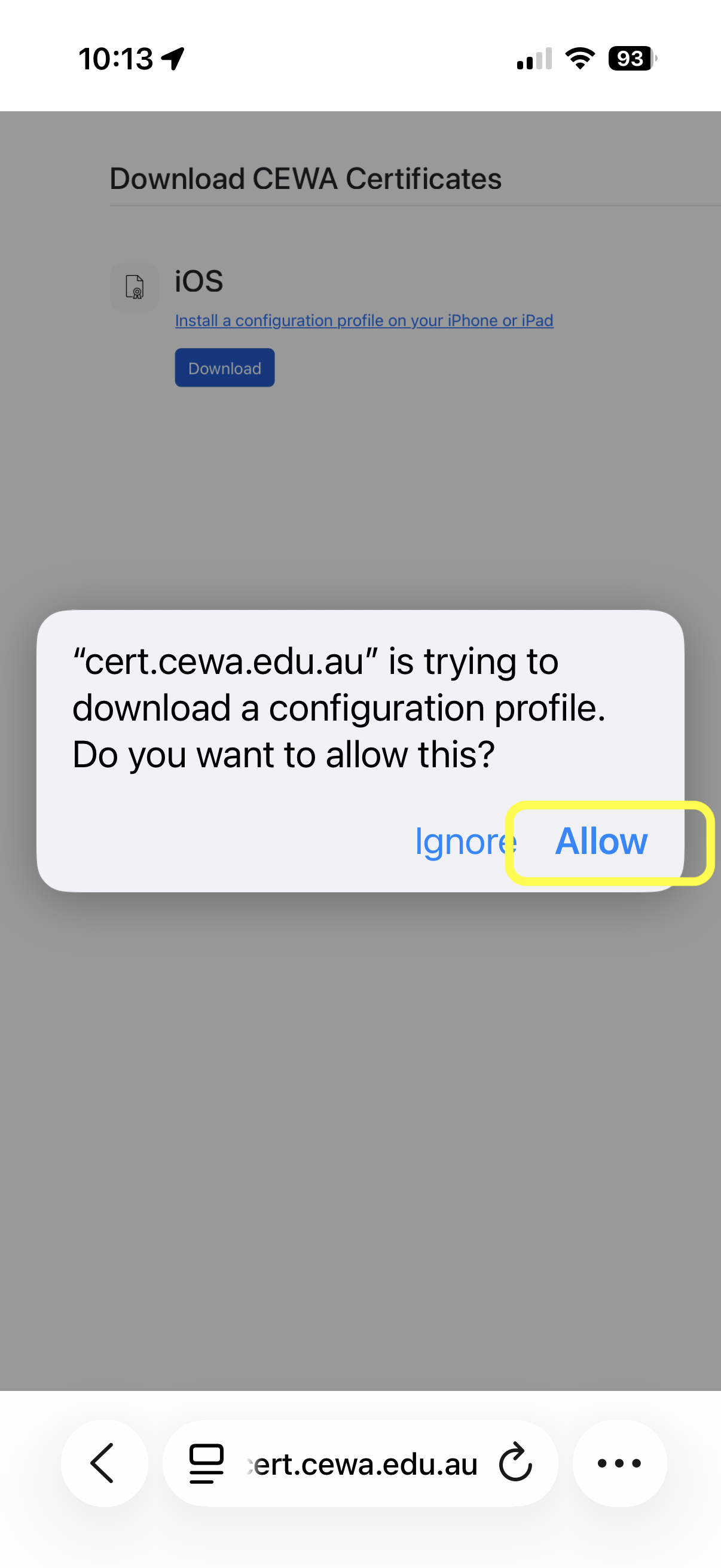 Safari download prompt with Allow highlighted